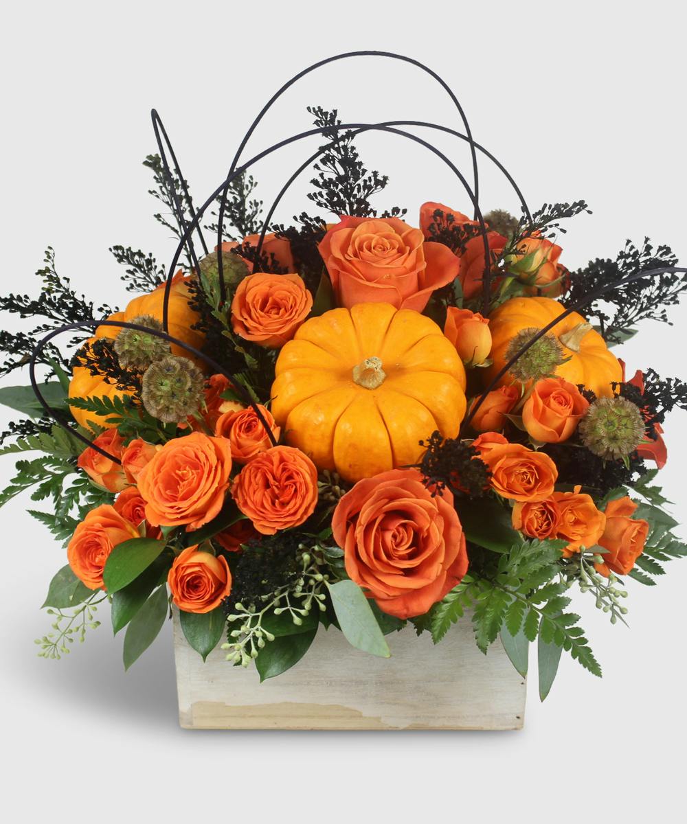 Bewitching MetroWest (MA) Halloween Flowers Delivered Frugal Flowers