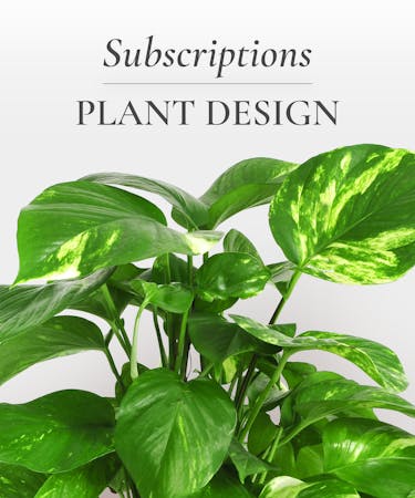 Subscription - Plants